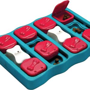 Nina Ottosson by Outward Hound Interactive Treat Puzzle Dog Toy – Engage Your Dog’s Mind with Challenging Puzzle for Treats
